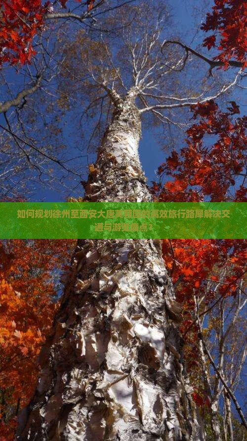如何规划徐州至西安大唐芙蓉园的高效旅行路犀解决交通与游览痛点？