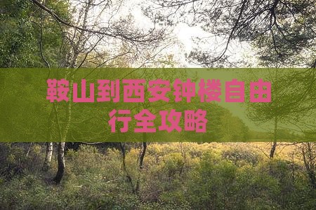 鞍山到西安钟楼自由行全攻略