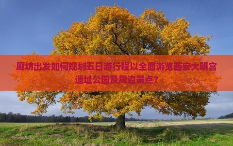 廊坊出发如何规划五日游行程以全面游览西安大明宫遗址公园及周边景点？