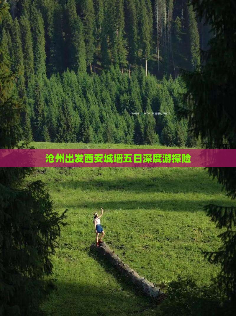 沧州出发西安城墙五日深度游探险