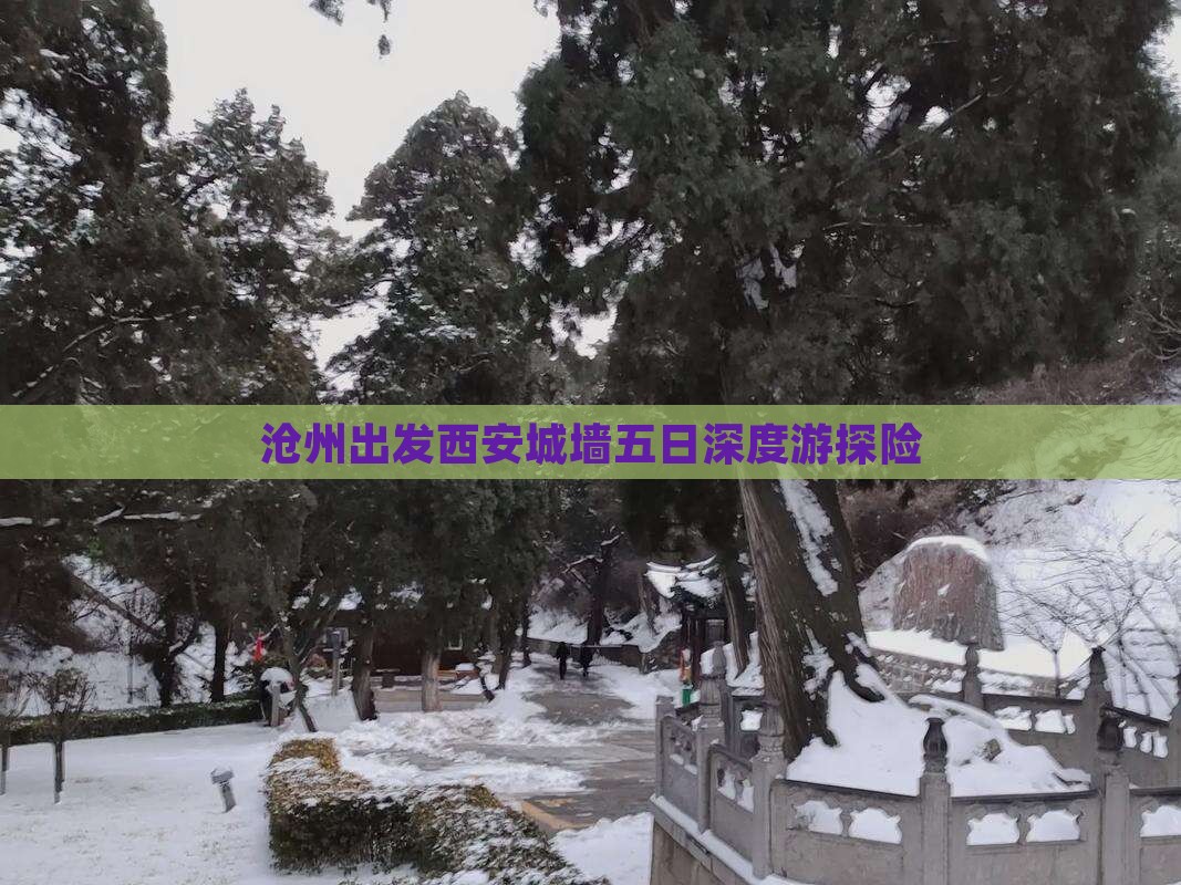 沧州出发西安城墙五日深度游探险