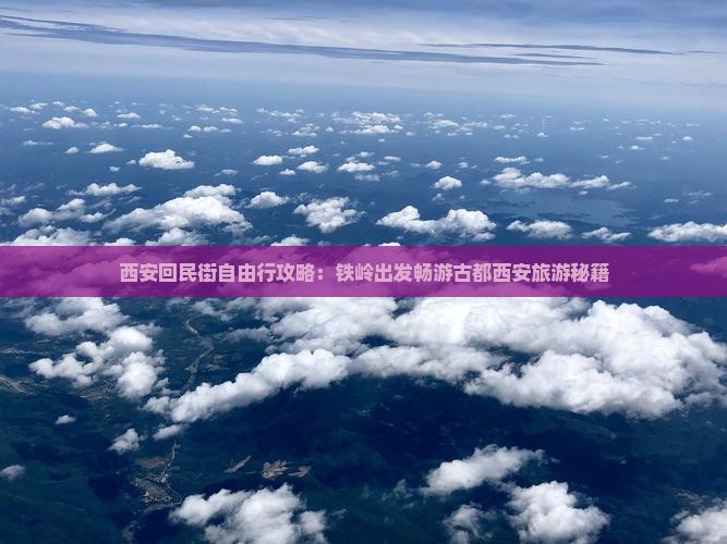 西安回民街自由行攻略：铁岭出发畅游古都西安旅游秘籍