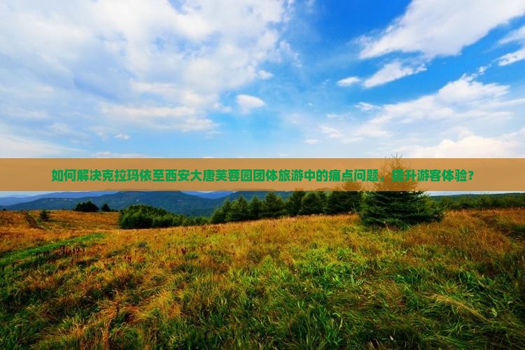 如何解决克拉玛依至西安大唐芙蓉园团体旅游中的痛点问题，提升游客体验？
