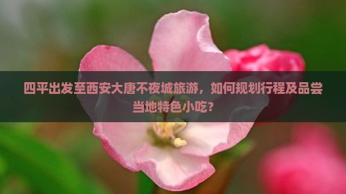 四平出发至西安大唐不夜城旅游，如何规划行程及品尝当地特色小吃？
