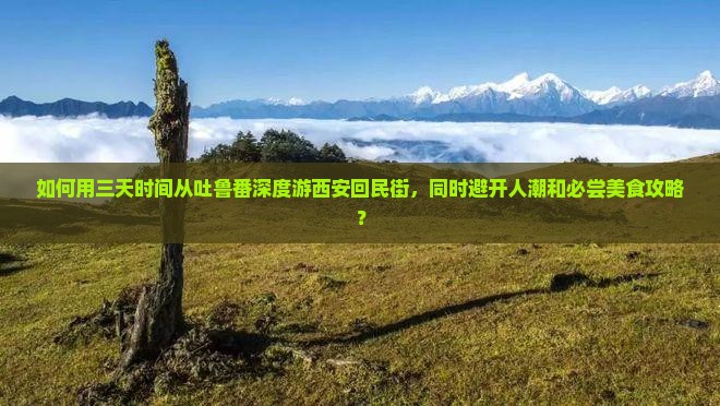 如何用三天时间从吐鲁番深度游西安回民街，同时避开人潮和必尝美食攻略？