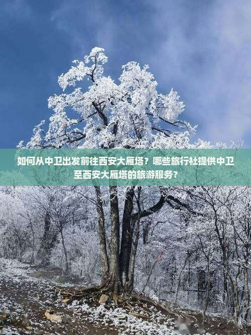 如何从中卫出发前往西安大雁塔？哪些旅行社提供中卫至西安大雁塔的旅游服务？