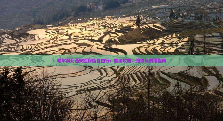 哈尔滨到西安回民街自由行：旅游攻略、路线及费用指南
