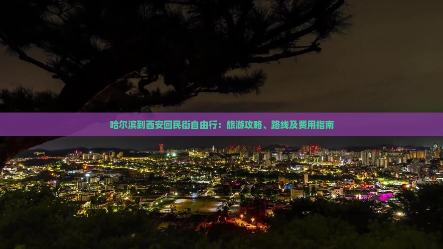 哈尔滨到西安回民街自由行：旅游攻略、路线及费用指南