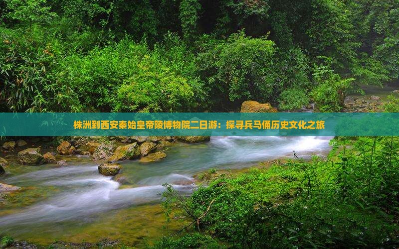 株洲到西安秦始皇帝陵博物院二日游：探寻兵马俑历史文化之旅