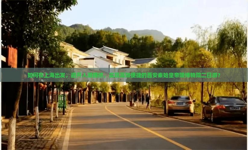 如何在上海出发，避开人潮拥挤，实现高效便捷的西安秦始皇帝陵博物院二日游？
