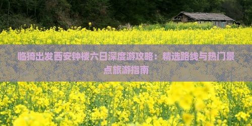 临猗出发西安钟楼六日深度游攻略：精选路线与热门景点旅游指南
