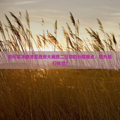 如何解决商洛至西安大雁塔二日游的行程痛点，提升旅行体验？