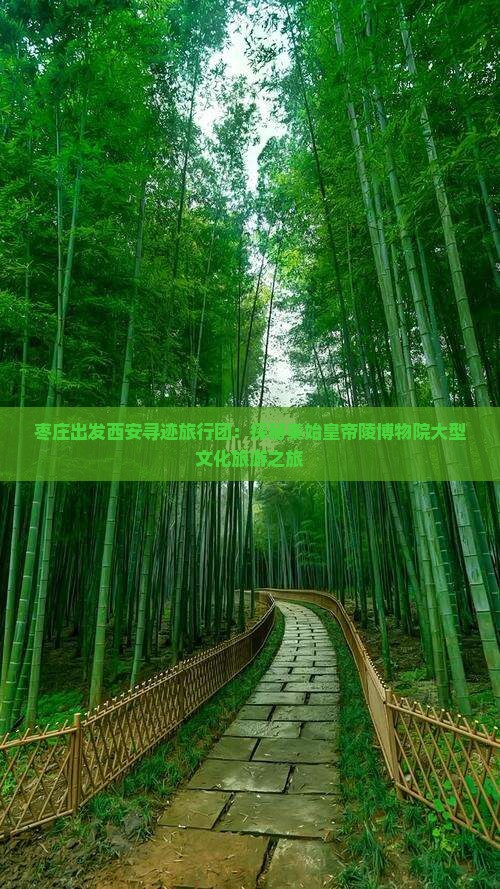 枣庄出发西安寻迹旅行团：探秘秦始皇帝陵博物院大型文化旅游之旅