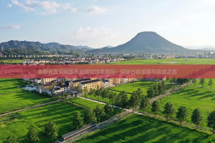 永新去西安陕西历史博物馆哪里玩：探秘古都宝藏与美食之旅