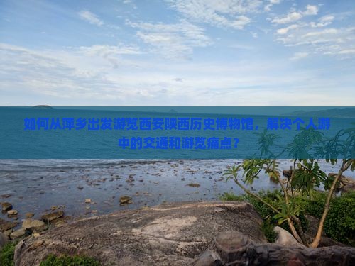 如何从萍乡出发游览西安陕西历史博物馆，解决个人游中的交通和游览痛点？