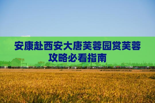 安康赴西安大唐芙蓉园赏芙蓉攻略必看指南