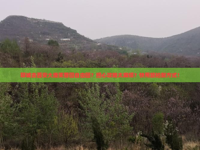 聊城去西安大唐芙蓉园自由团？担心攻略太麻烦？快用旅拍新方式！