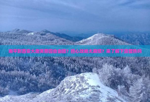 南平到西安大唐芙蓉园自由团？担心攻略太麻烦？来了解下露营热吗