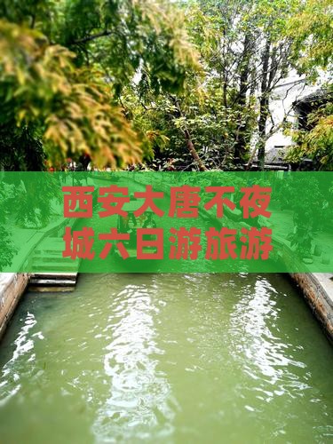 西安大唐不夜城六日游旅游攻略