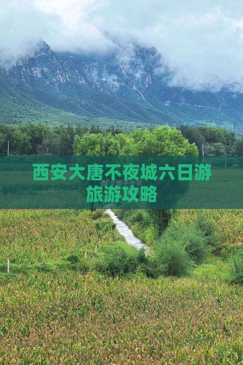 西安大唐不夜城六日游旅游攻略