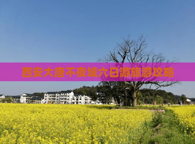 西安大唐不夜城六日游旅游攻略