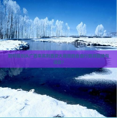 如何规划从广西来宾到西安大雁塔的自由行旅游路线与活动？