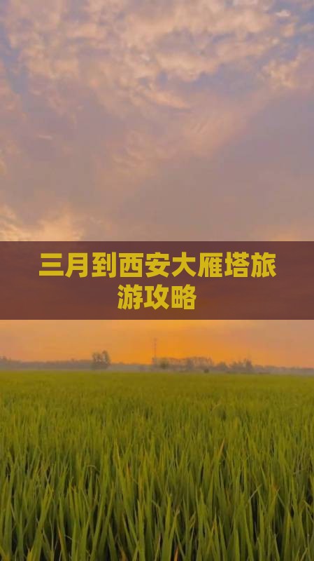 三月到西安大雁塔旅游攻略