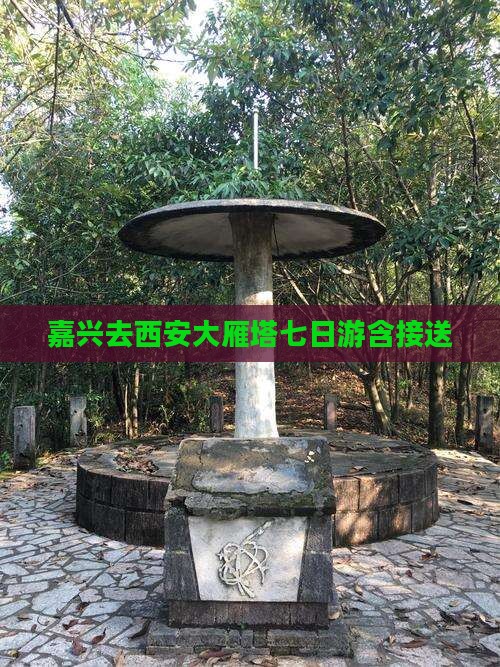 嘉兴去西安大雁塔七日游含接送