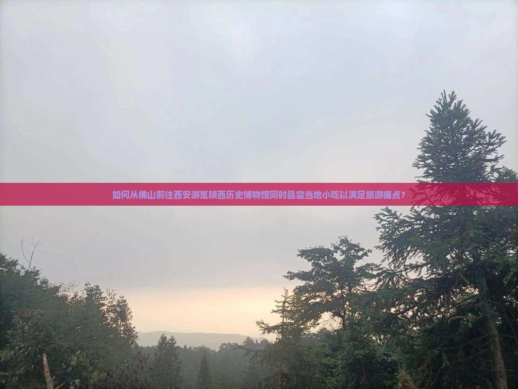 如何从佛山前往西安游览陕西历史博物馆同时品尝当地小吃以满足旅游痛点？