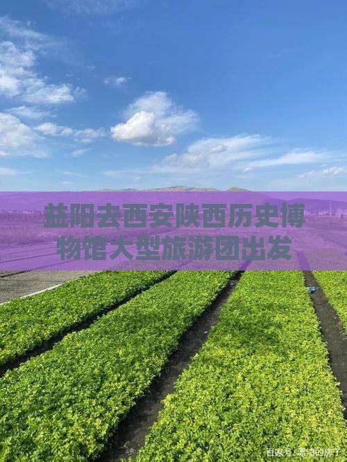 益阳去西安陕西历史博物馆大型旅游团出发
