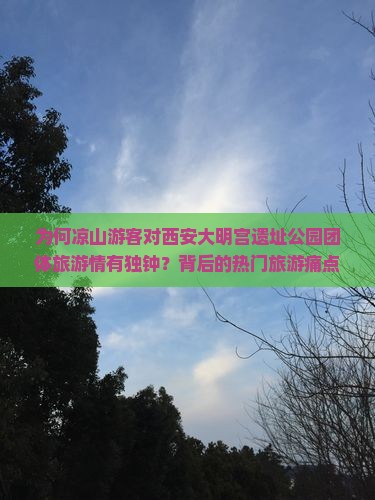 为何凉山游客对西安大明宫遗址公园团体旅游情有独钟？背后的热门旅游痛点与趋势！