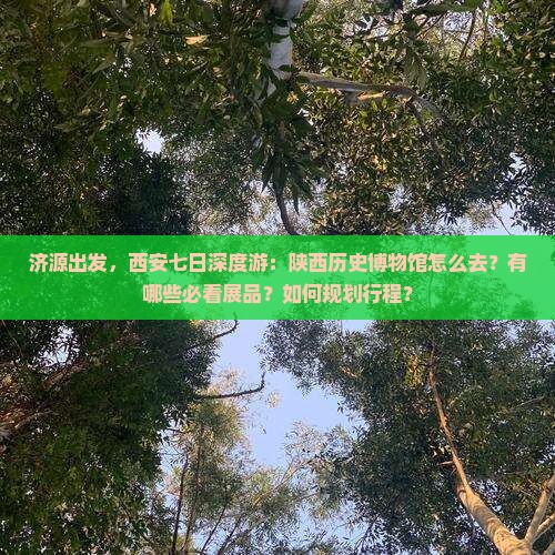 济源出发，西安七日深度游：陕西历史博物馆怎么去？有哪些必看展品？如何规划行程？
