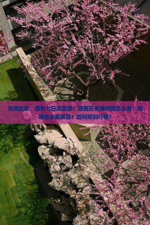 济源出发，西安七日深度游：陕西历史博物馆怎么去？有哪些必看展品？如何规划行程？