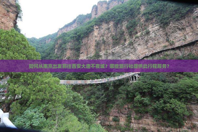 如何从南京出发前往西安大唐不夜城？哪些旅行社提供此行程服务？