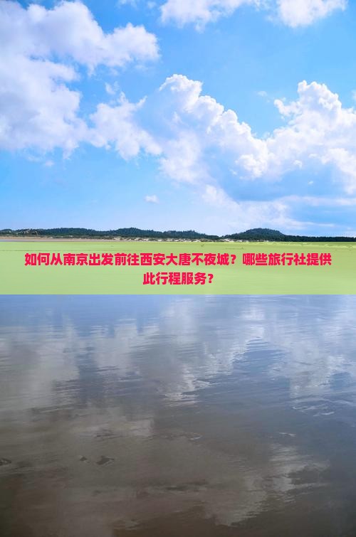 如何从南京出发前往西安大唐不夜城？哪些旅行社提供此行程服务？