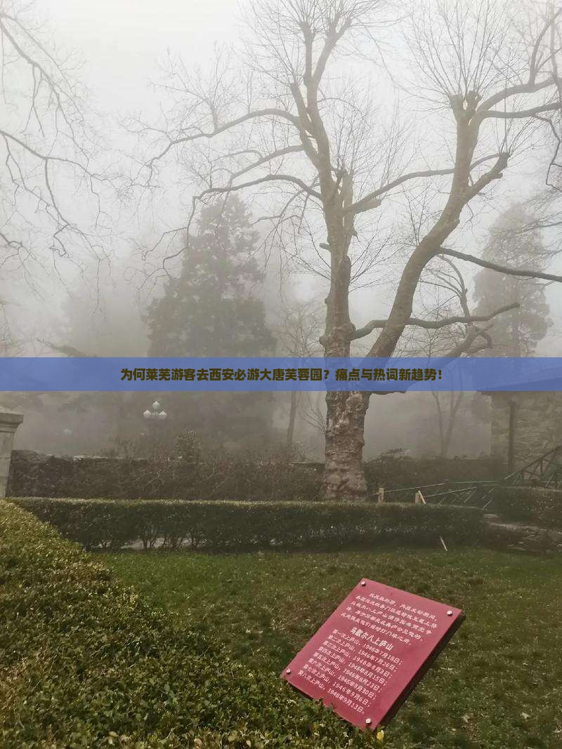 为何莱芜游客去西安必游大唐芙蓉园？痛点与热词新趋势！