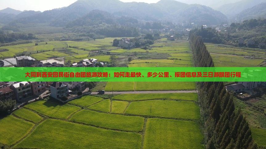 大同到西安回民街自由团旅游攻略：如何走最快、多少公里、报团信息及三日游跟团行程