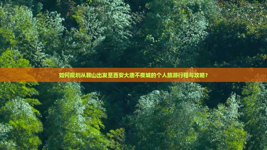 如何规划从鞍山出发至西安大唐不夜城的个人旅游行程与攻略？