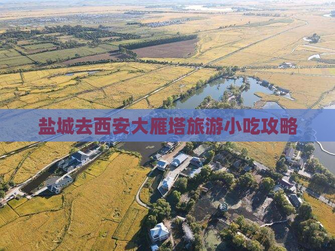 盐城去西安大雁塔旅游小吃攻略