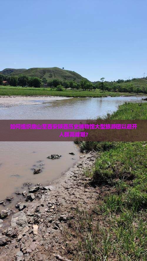 如何组织唐山至西安陕西历史博物馆大型旅游团以避开人群高峰期？