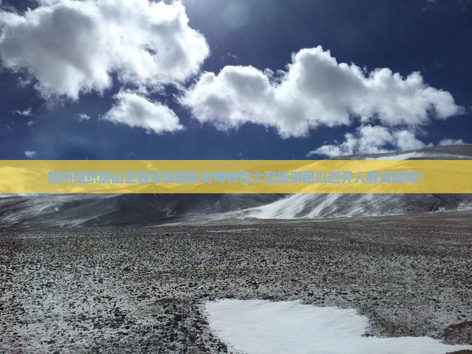 如何组织唐山至西安陕西历史博物馆大型旅游团以避开人群高峰期？