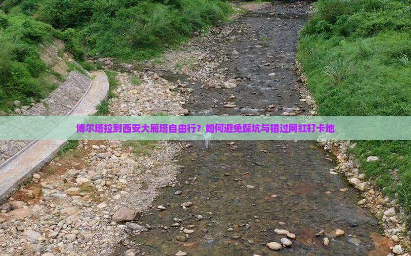 博尔塔拉到西安大雁塔自由行？如何避免踩坑与错过网红打卡地