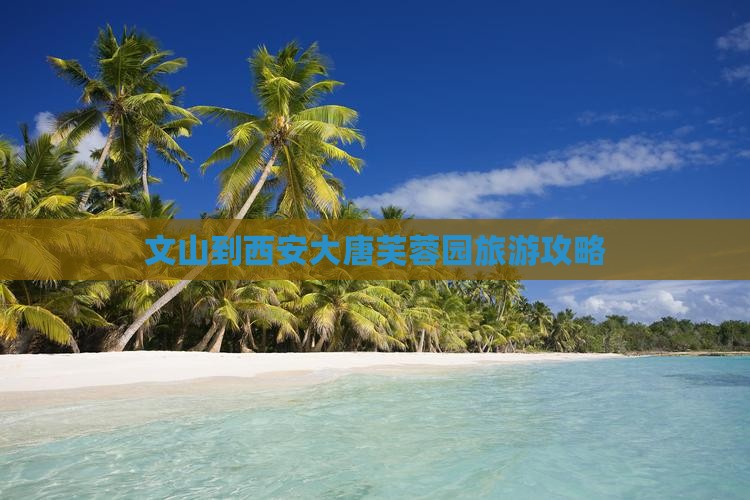 文山到西安大唐芙蓉园旅游攻略