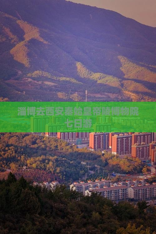 淄博去西安秦始皇帝陵博物院七日游