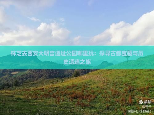 林芝去西安大明宫遗址公园哪里玩：探寻古都宝藏与历史遗迹之旅