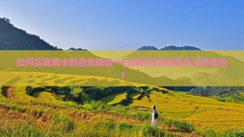 如何实现衡水到西安城墙一日游的高效游览与深度体验？