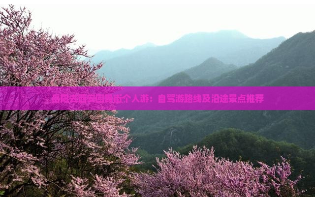 岳阳去西安回民街个人游：自驾游路线及沿途景点推荐