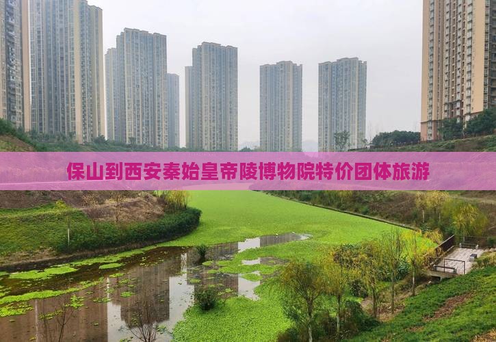 保山到西安秦始皇帝陵博物院特价团体旅游