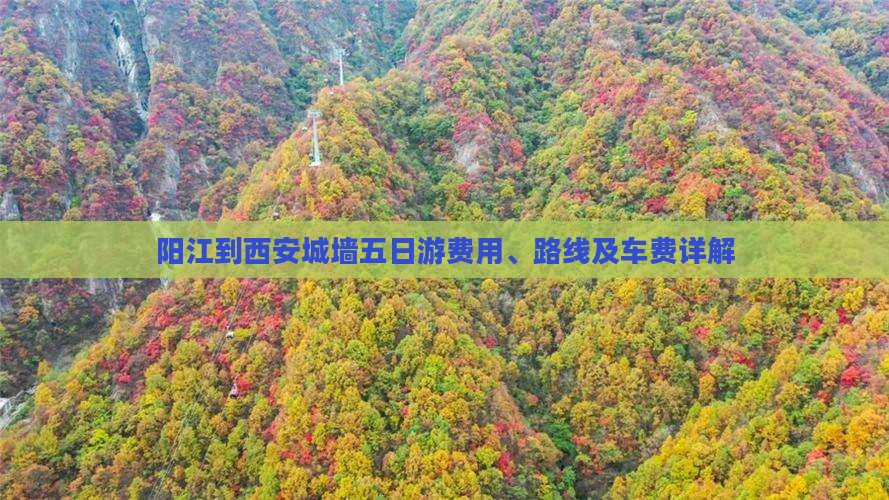 阳江到西安城墙五日游费用、路线及车费详解