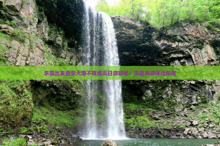 东莞出发西安大唐不夜城五日游攻略：深度旅游体验指南